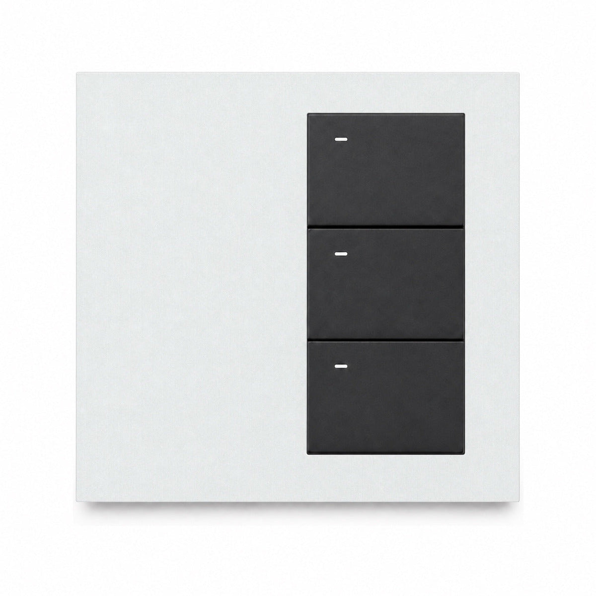 JINK Switch EGG — standardized 1x1 media